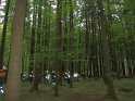 Maibaum_2018 (8)